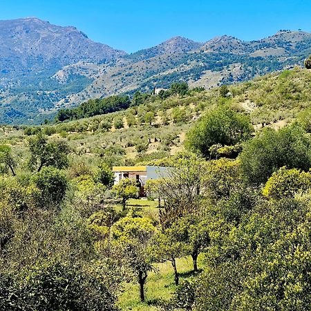 카사라보넬라 Finca Martina 아파트 외부 사진