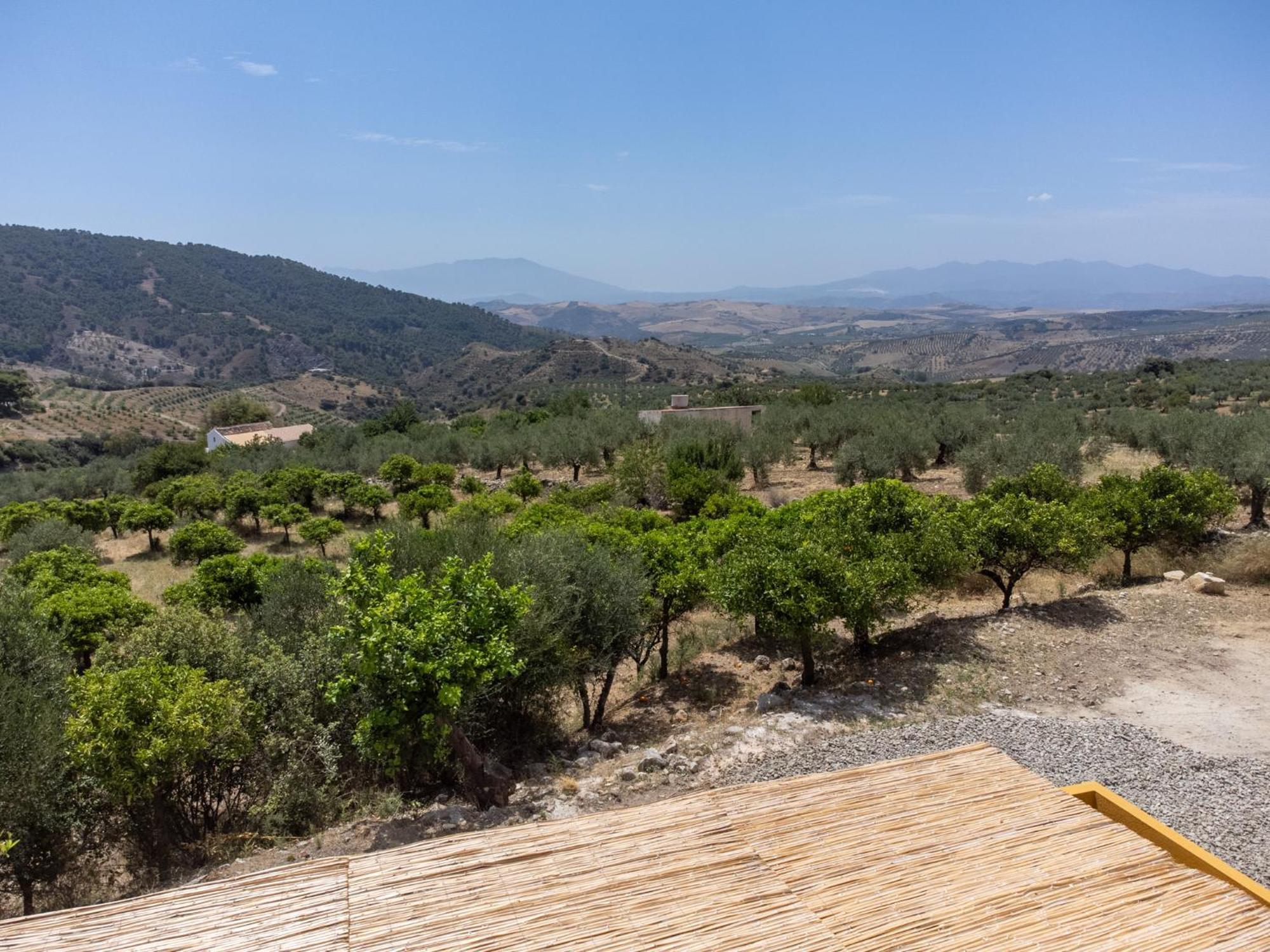 카사라보넬라 Finca Martina 아파트 외부 사진
