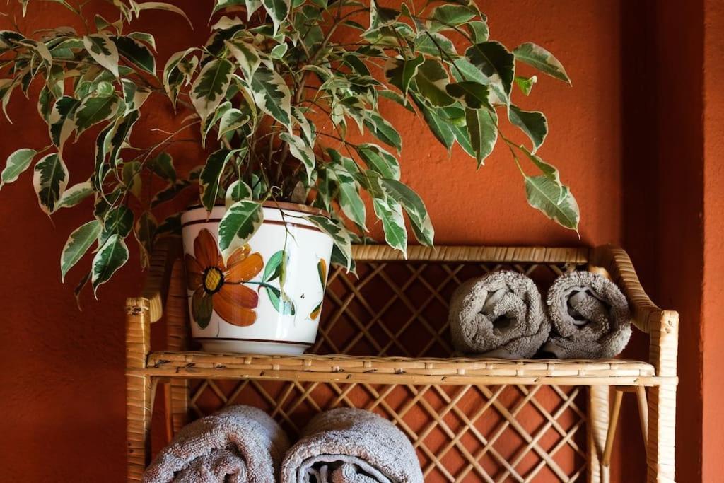 카사라보넬라 Finca Martina 아파트 객실 사진